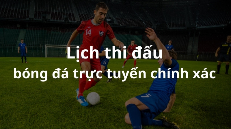 hinh-anh-xoilac-lich-thi-dau-bong-da-truc-tuyen-hang-dau-hien-nay-540-0