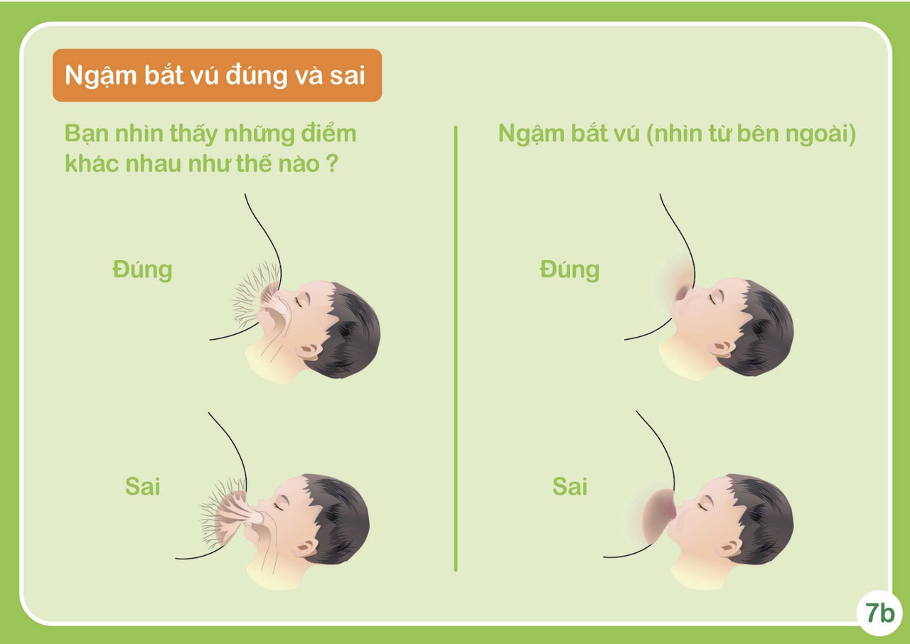 hinh-anh-giai-phau-vu-va-cach-be-do-va-giup-tre-ngam-bat-vu-dung-485-1