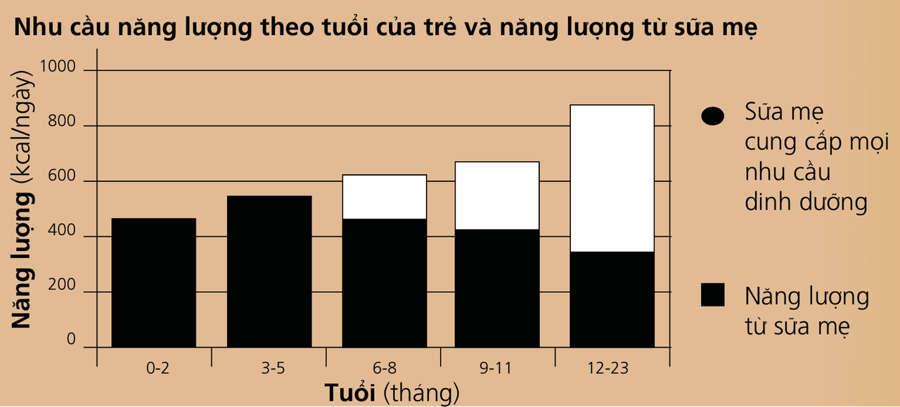 hinh-anh-tai-sao-can-cho-be-an-dam-an-bo-sung-va-cach-cho-be-an-bo-sung-dung-491-0