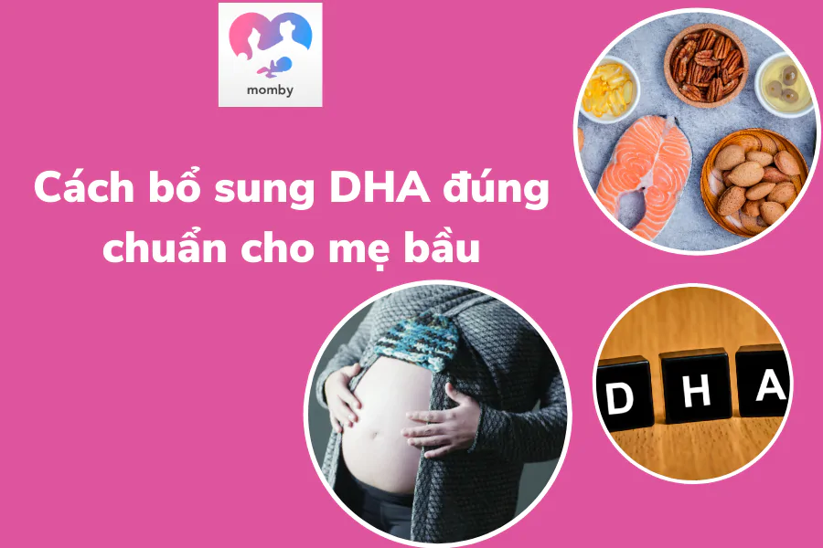 Mách mẹ bầu cách bổ sung DHA khi mang thai cực chuẩn theo lời khuyên bác sĩ