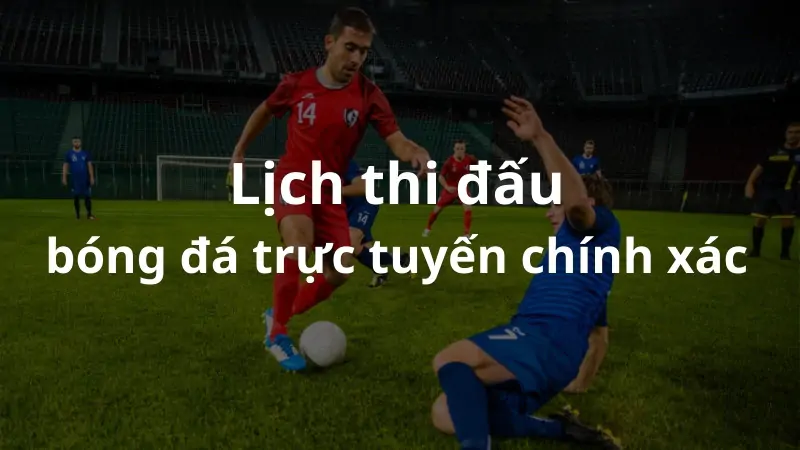 Xoilac - Lịch thi đấu bóng đá trực tuyến hàng đầu hiện nay